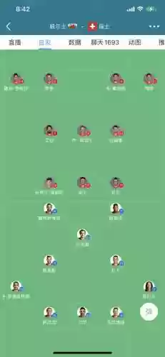 威瑞士阵容插图