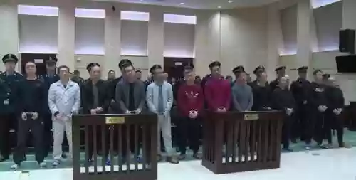 财产没收阵容_1插图1