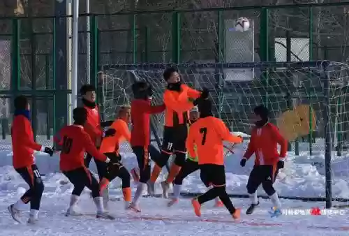 雪地阵容2017插图1
