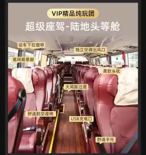 大巴521阵容插图