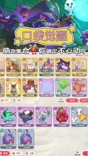 口袋vs阵容_1插图