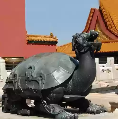 龙龟的w技能是护盾吗插图