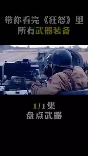武器还是狂怒_1插图