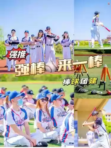 棒球阵容搭配插图