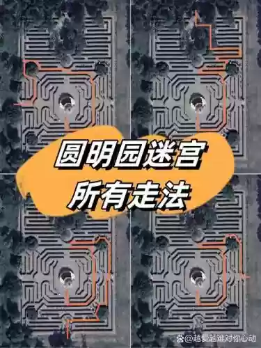 迷宫阵阵容插图