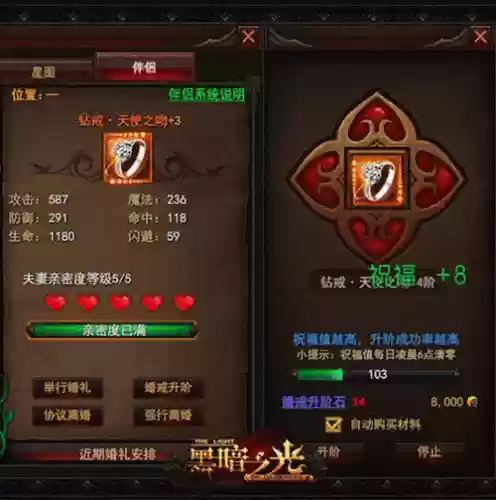 黑暗之光神佑装备传承，黑暗之光武器插图