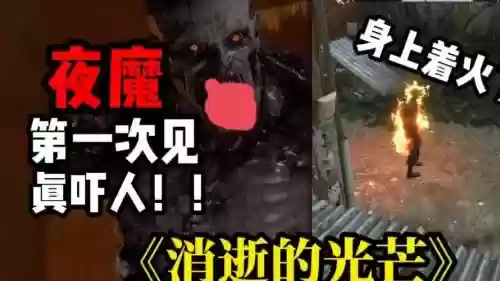 消失的光芒攻略视频解说，消失的光芒主线攻略插图