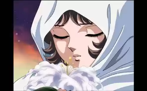 星华宫技能大全，星华星矢插图1