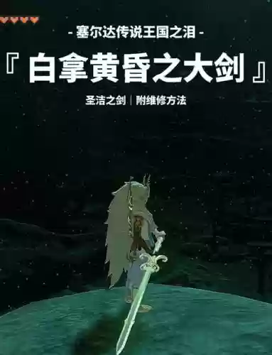 塞尔达在哪里修武器，赛尔达传说武器咋修插图