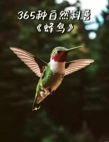 蜂鸟攻略，蜂鸟技巧插图1