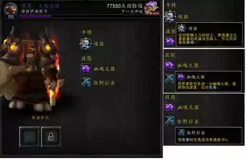 萨满职业大厅追随者装备推荐插图1