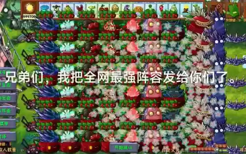 植物大战僵尸版阵容搭配，植物大战僵尸最完美阵容插图1