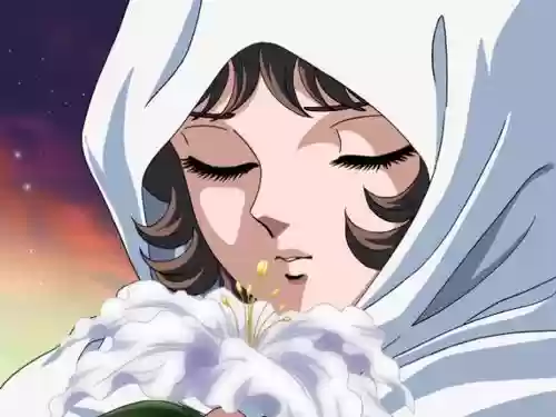 星华宫技能大全，星华星矢插图