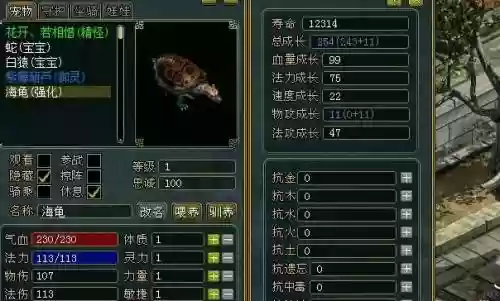 问道宝宝海龟没有技能，问道海龟的技能插图