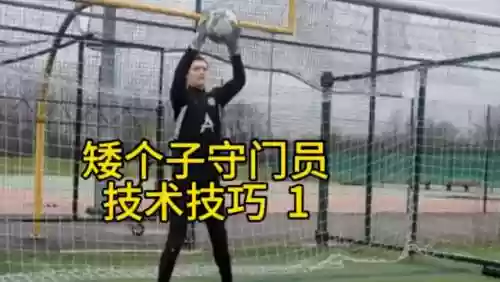 最佳阵容门将技能进修攻略，门将日常训练插图1
