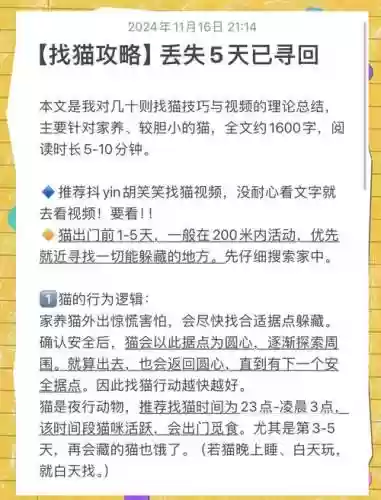 淘宝捉猫攻略，淘宝最新的猫怎么玩插图