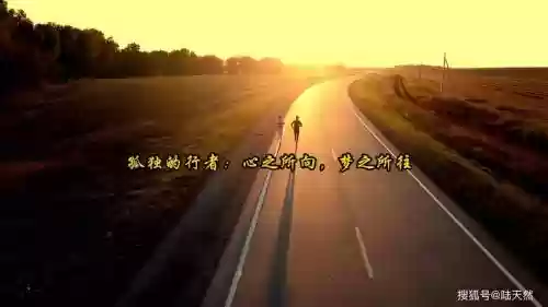 迷失与孤独的视频攻略，迷失与孤独的视频攻略大全插图1