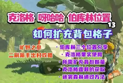 荒野之息装备扩展，荒野之息扩充背包顺序插图1