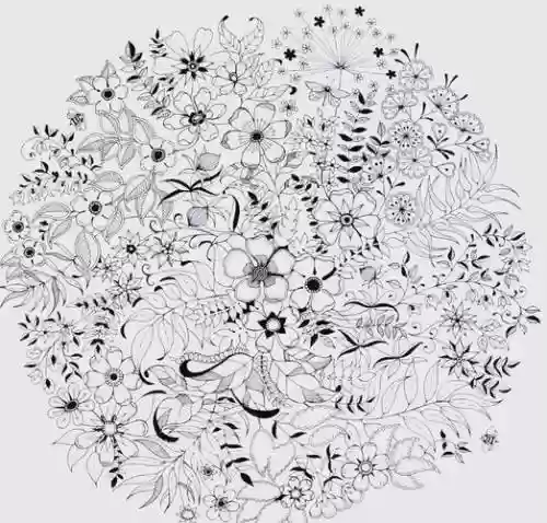 涂色花园攻略，涂色花园攻略大全插图
