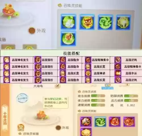 乌龟主加什么技能，乌龟加点插图