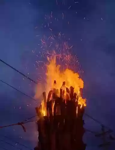 无冬武器火伤害，无冬镇火把举了怎么放下去插图1