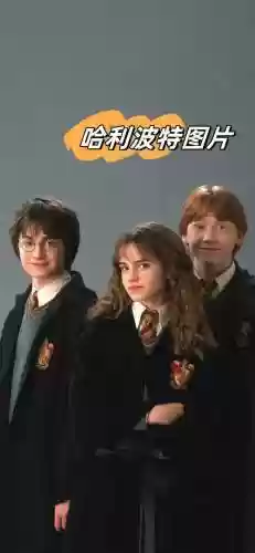 哈利波特最新搭配阵容，哈利波特最佳阵容插图1